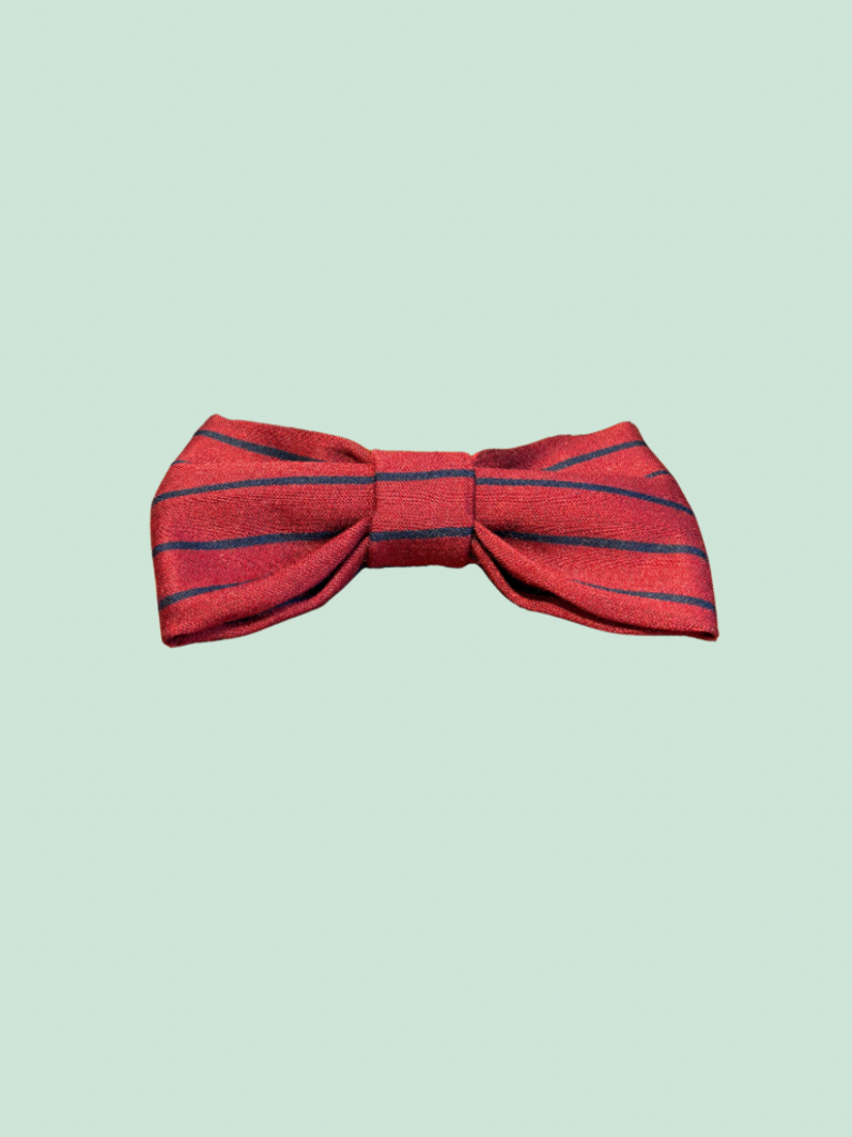 Papijon Strik Papijon red blue stripe