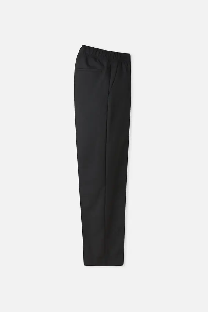 About Companions MAGNUS Trouser eco cool wool ebony