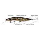 Ghost Lure 120mm 23g Tauchtiefe 1m