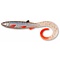 QUANTUM SPECIALIST Yolo Curly Shad 21cm Roach