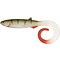 QUANTUM SPECIALIST YOLO CURLY SHAD 26cm Real-Touch Perch