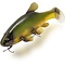 QUANTUM Swimbait Tench 23cm 270g