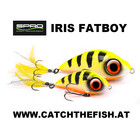 Iris Fatboy 115mm