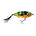 SPRO Spro Iris Flash Jerk 11,5cm Perch