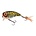 SPRO Fat Iris 60 Northern Pike