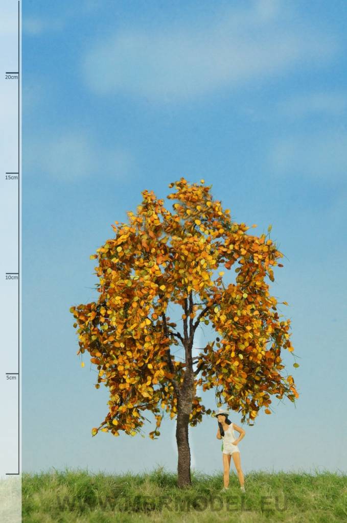 MBR model appelboom herfst