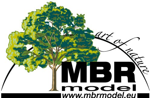 MBR model