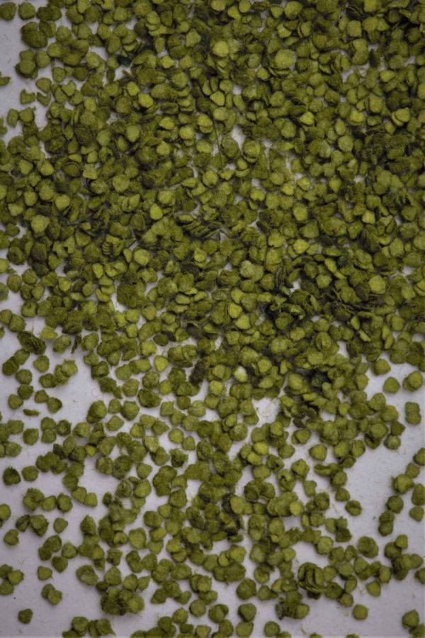 MBR model Berkenblad licht groen