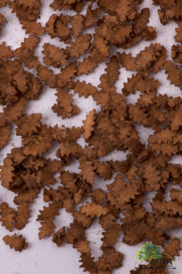 MBR model Eikenblad droog