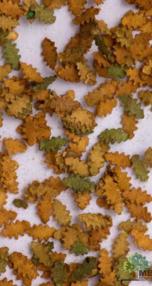 MBR model Eikenblad herfst