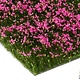 MBR model bloemen roze