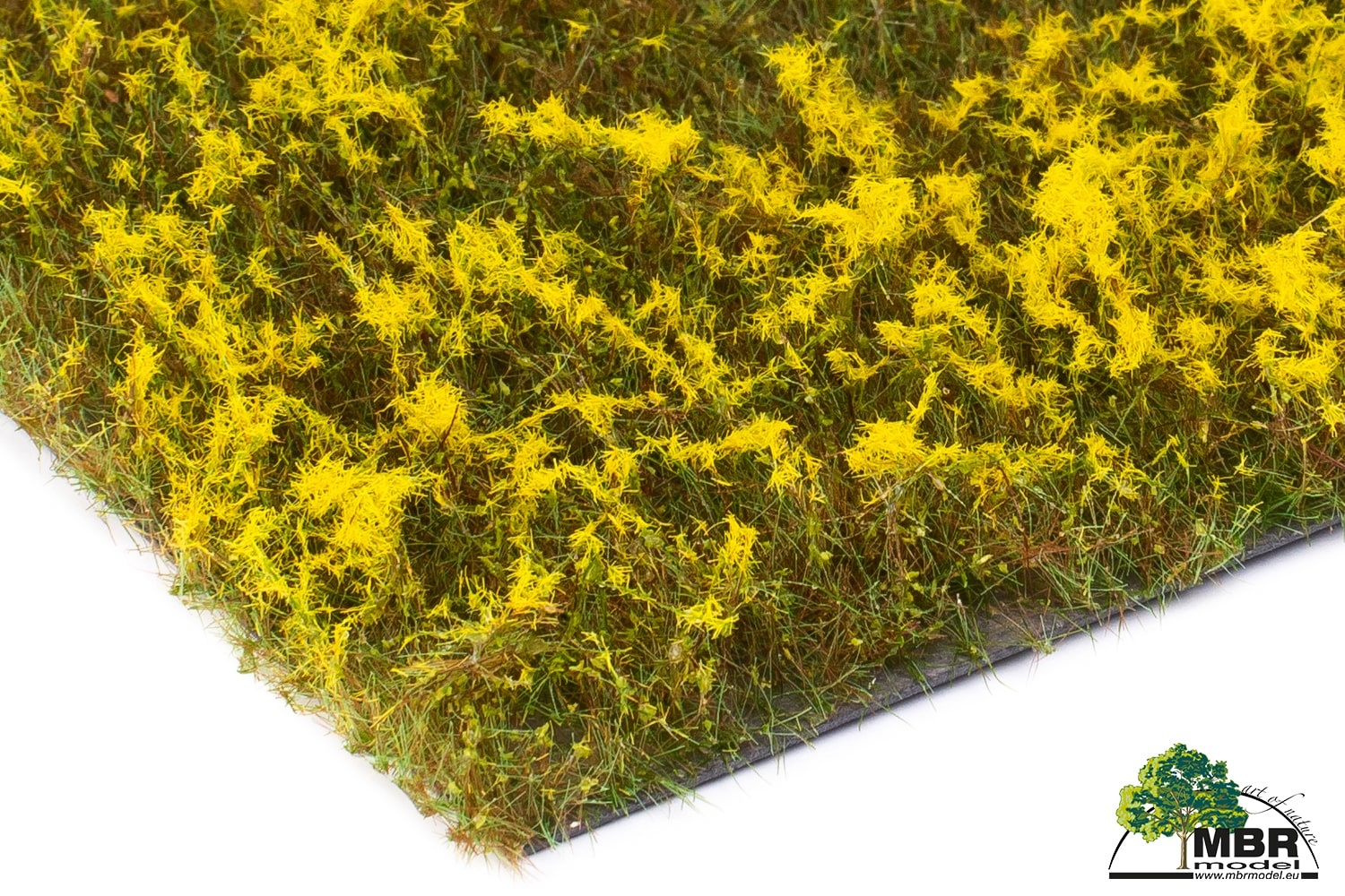 MBR model bloemen goldrute