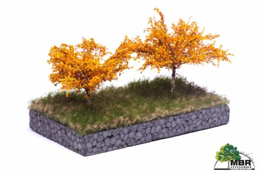 MBR model appelbomen herfst