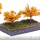 MBR model appelbomen herfst