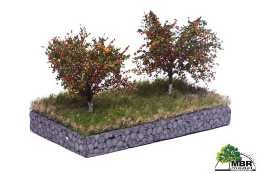 MBR model 2 x appelbomen met appels