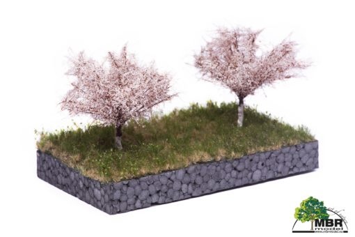 MBR model appelbomen lente