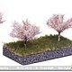 MBR model appelbomen lente