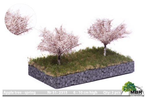 MBR model appelbomen lente