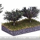 MBR model pruimen bomen