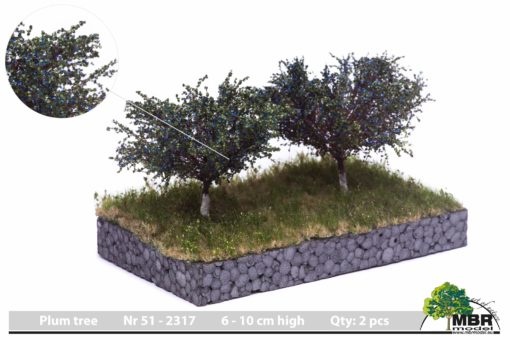 MBR model pruimen bomen