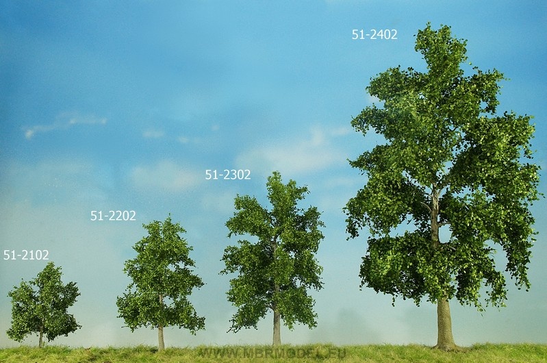 MBR model Beuk zomer