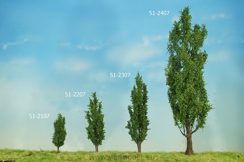 MBR model Italiaanse populier
