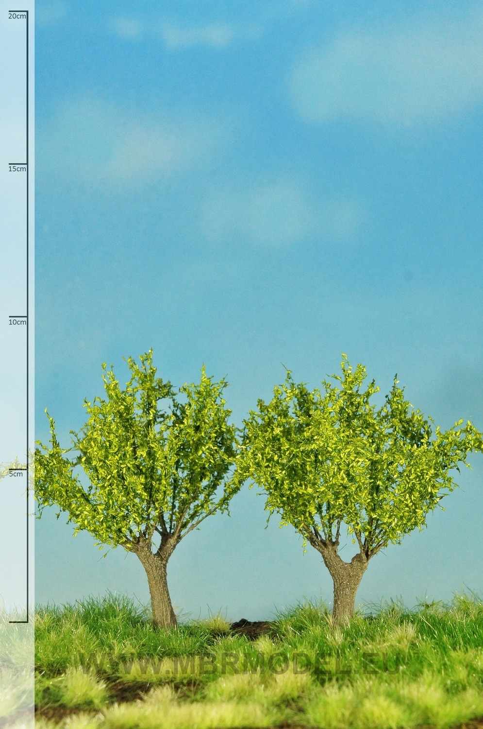 MBR model knotwilgen
