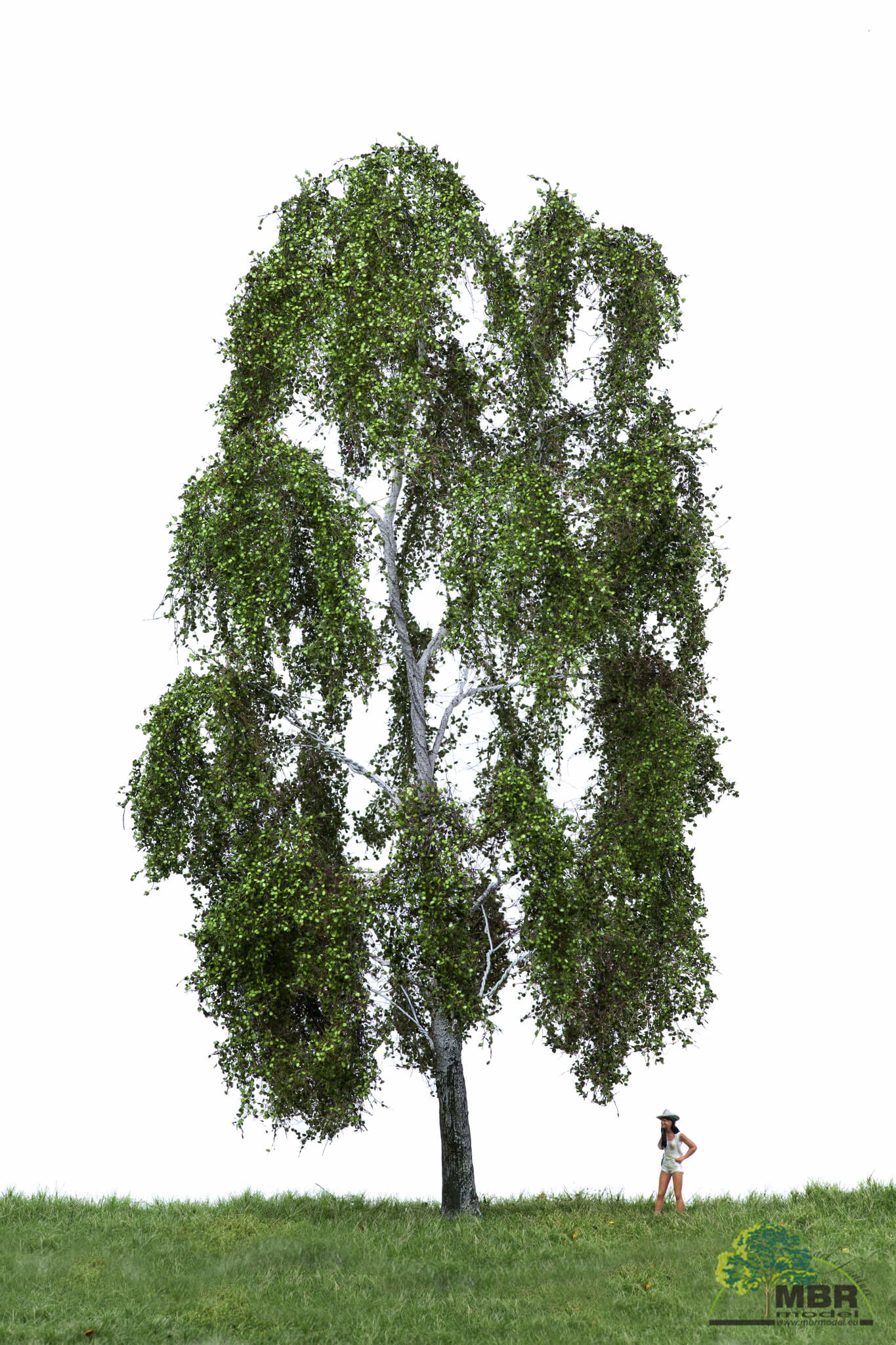 MBR model Berk zomer