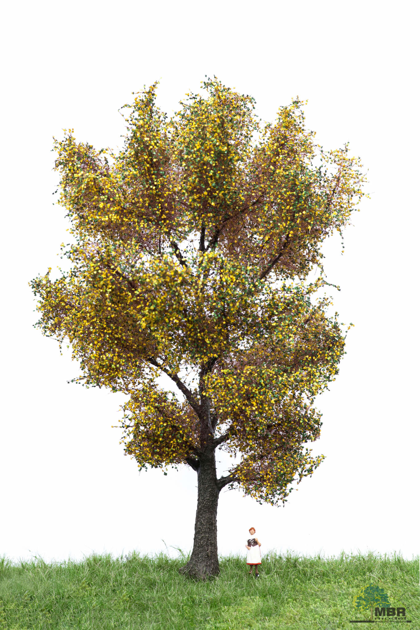 MBR model Canadese populier herfst