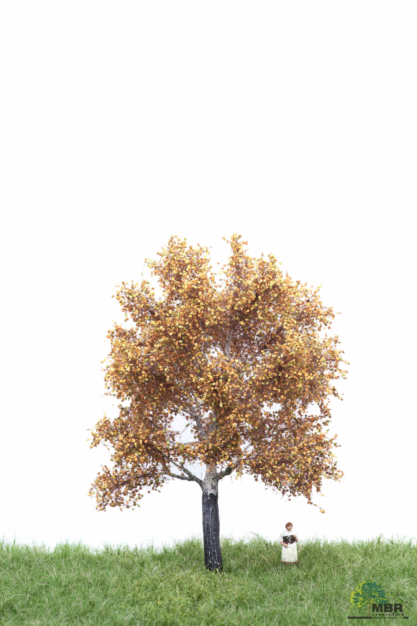 MBR model Zilver populier herfst