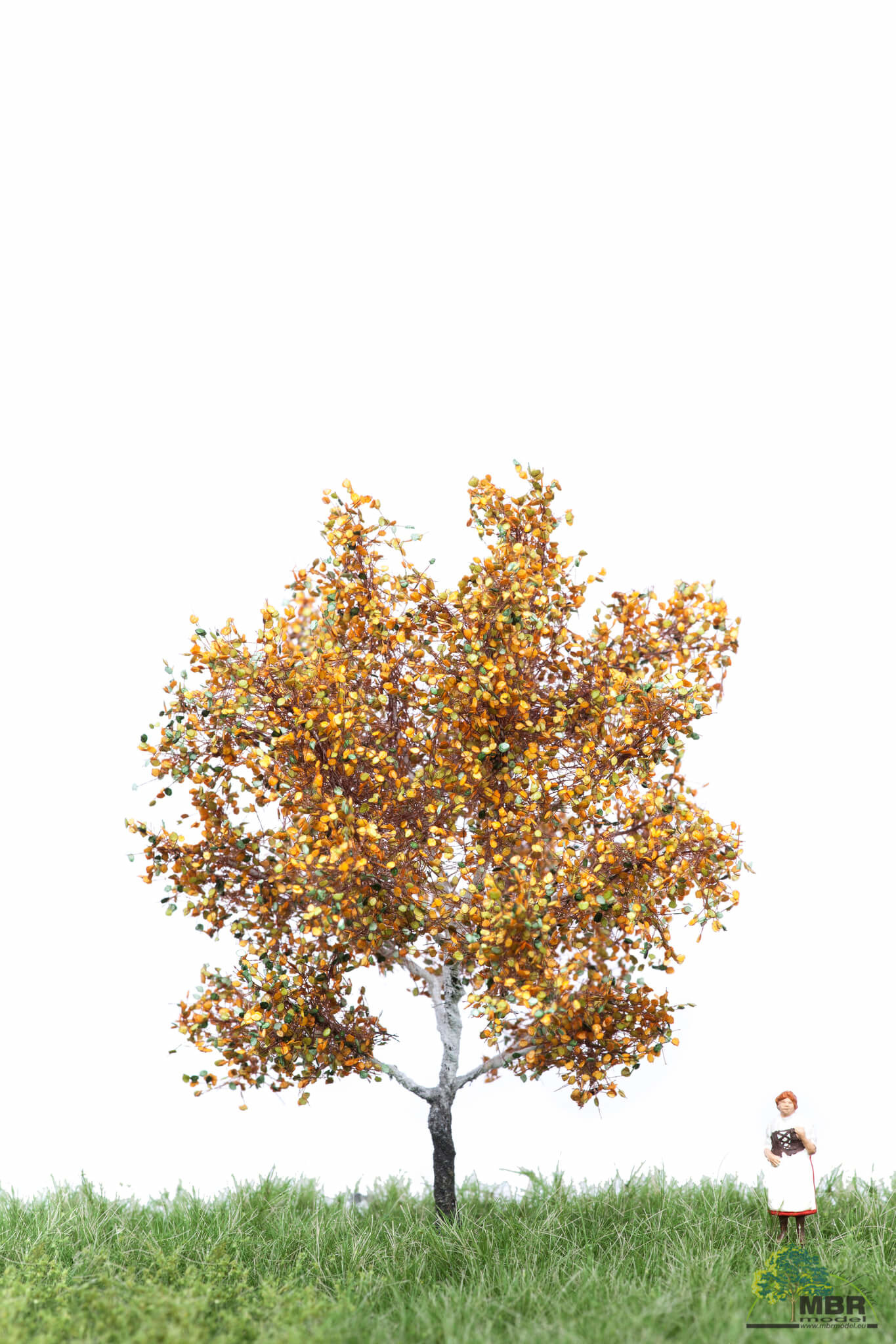 MBR model Zilver populier herfst