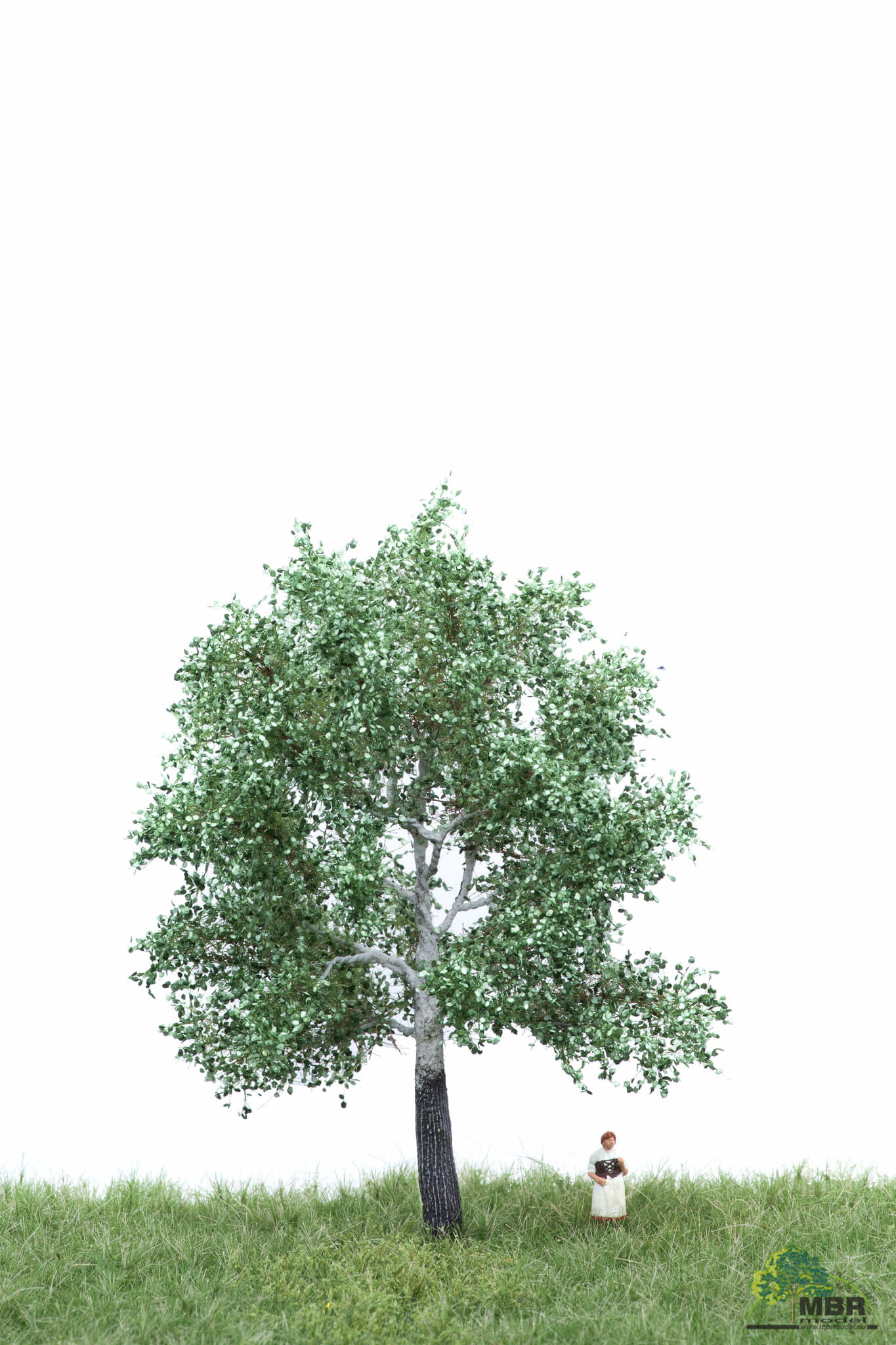 MBR model Zilver Populier zomer