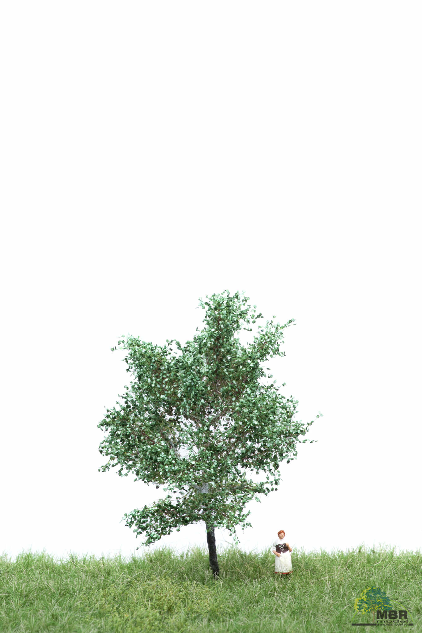 MBR model Zilver Populier zomer