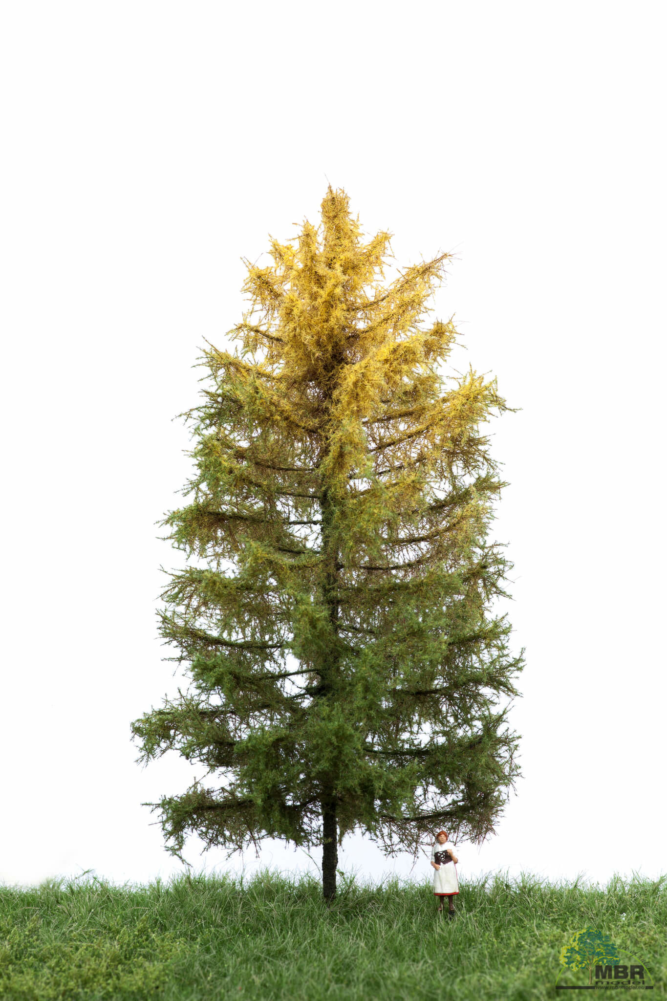 MBR model Europese Lariks herfst