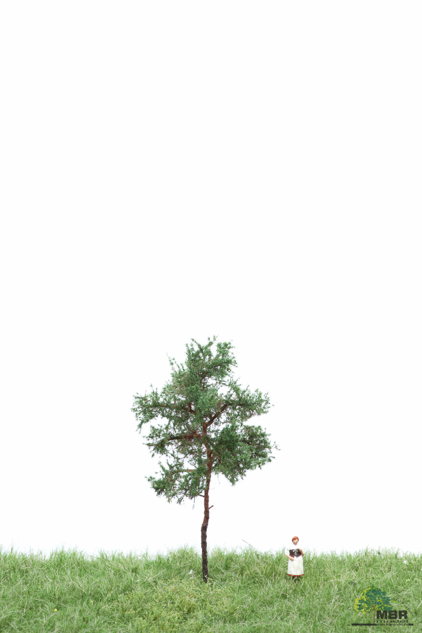 MBR model Grove Den