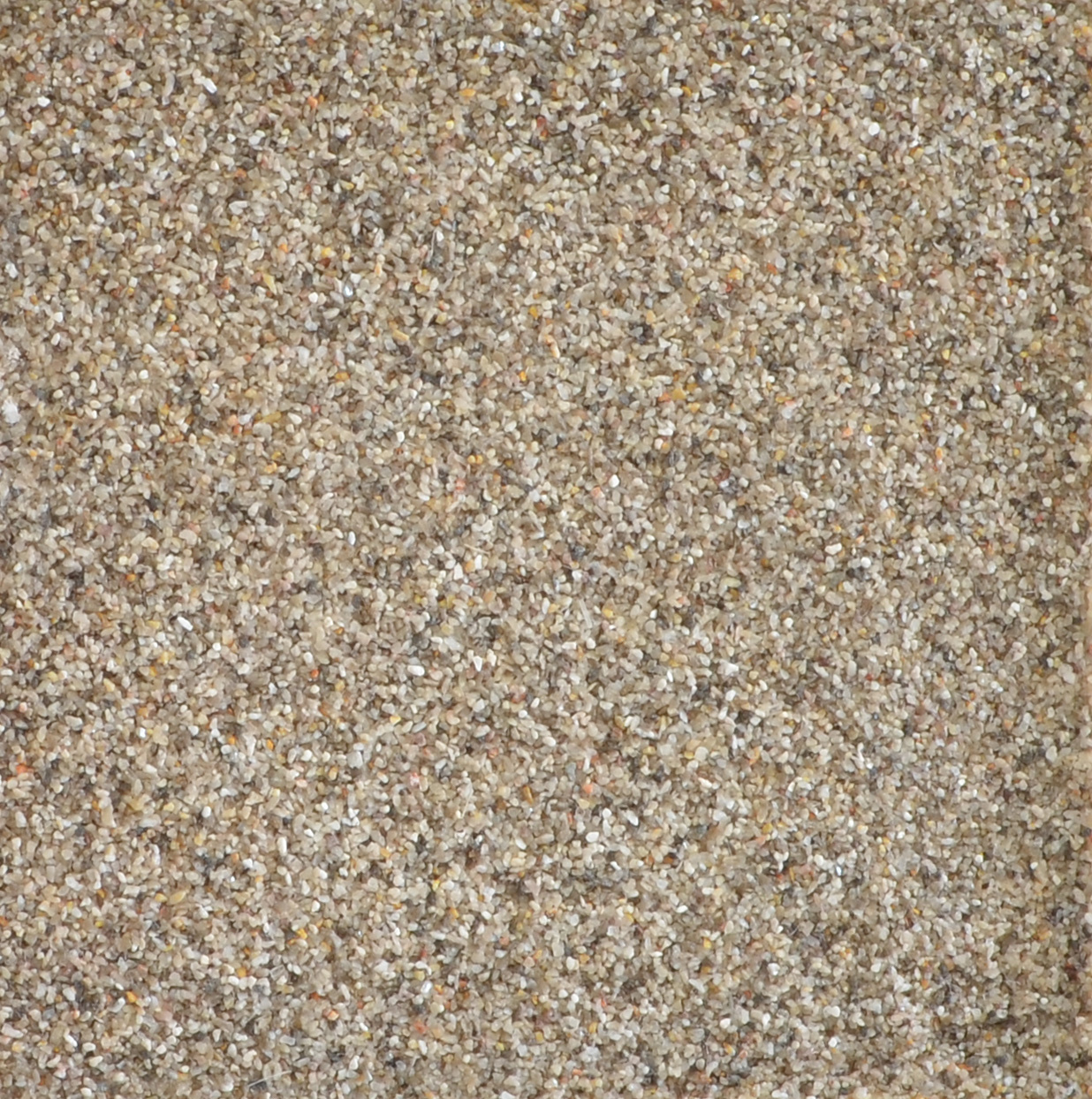 Spurenwelten  kalksteen grijs/bruin spoor N