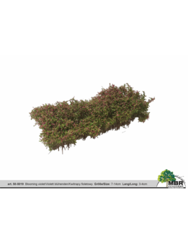 MBR model struiken MBR 50-5019