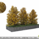 MBR model grote bosjes licht geel