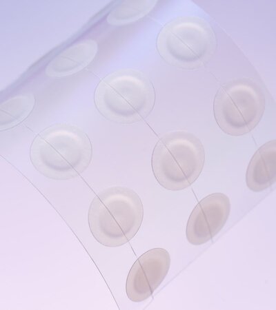 Bellflower Day Patch - 96pcs