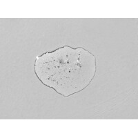 Centella Calming Ampoule Toner (Travel) - 32ml