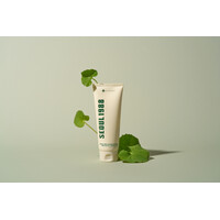 Seoul 1988 Cleansing Foam : Pine Cica 1% + Probiotics - 150ml