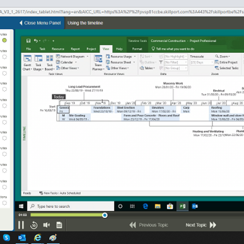 Microsoft Project 2019