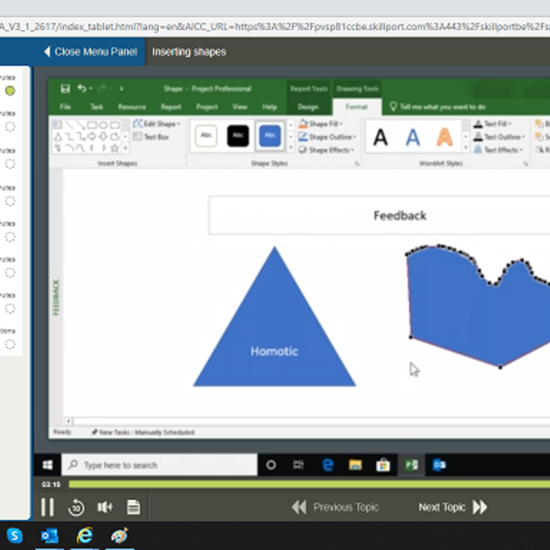 Microsoft Project 2019
