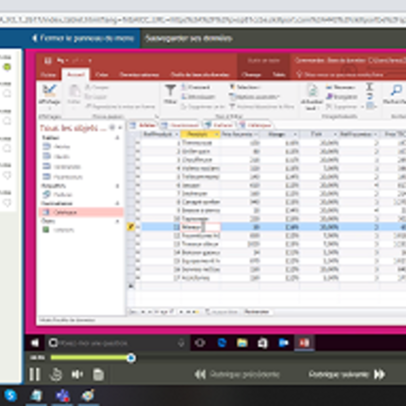 Access 2016 Débutant Intermédiaire Expert FR