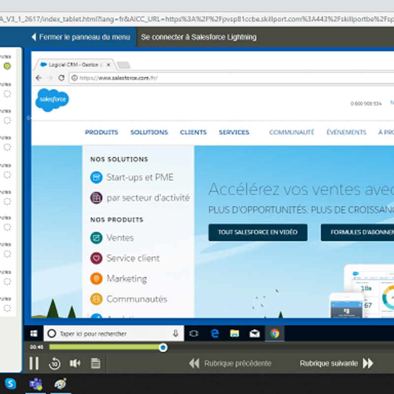 Salesforce for End Usere E-Learning Cours FR