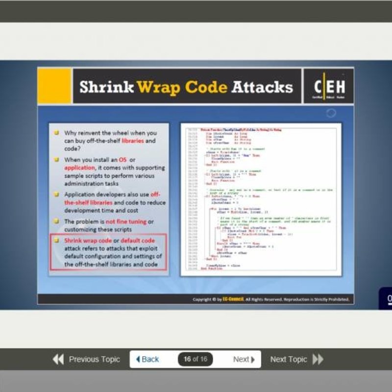 Certified Ethical Hacker (CEH) v10 Ausbildung