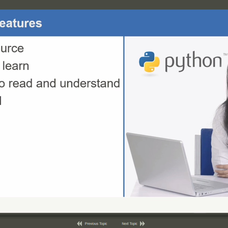 Python Fundamentals E-Learning Kurs