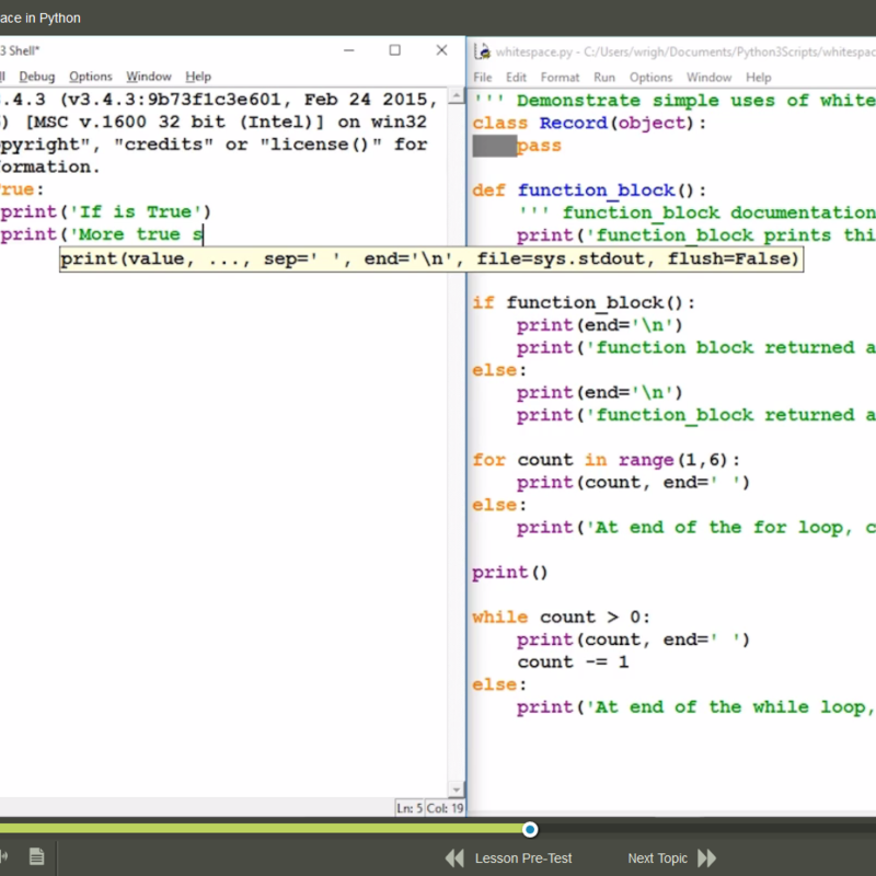Python Fundamentals E-Learning Kurs