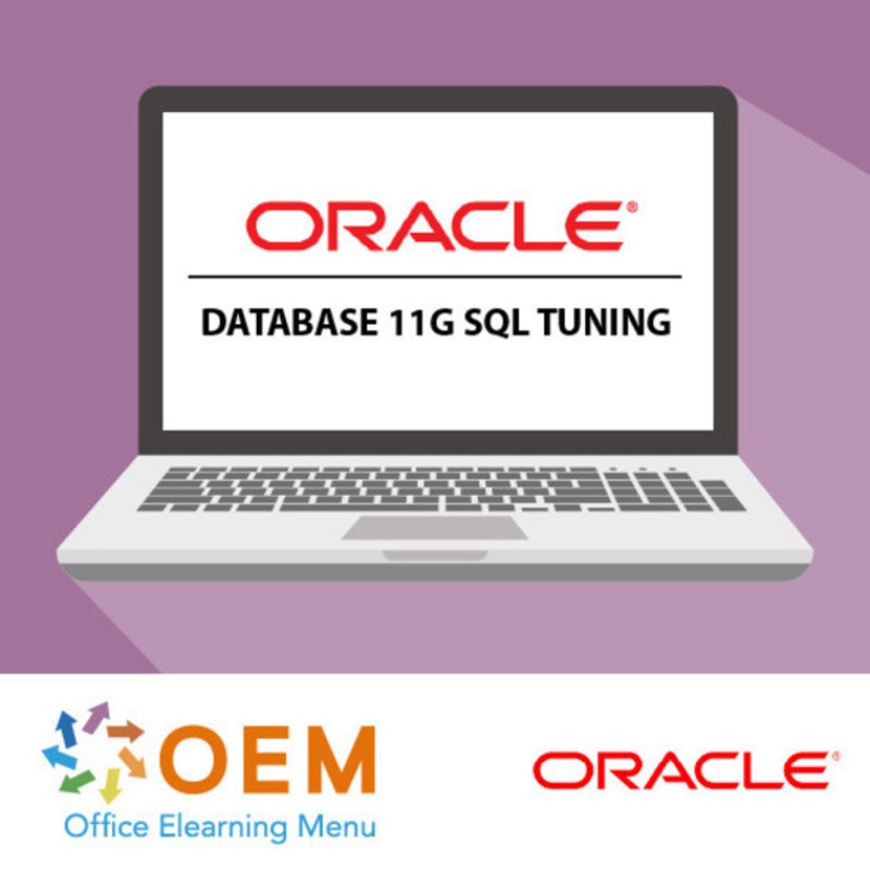 Oracle Database 11g SQL Tuning E-Learning Kurs