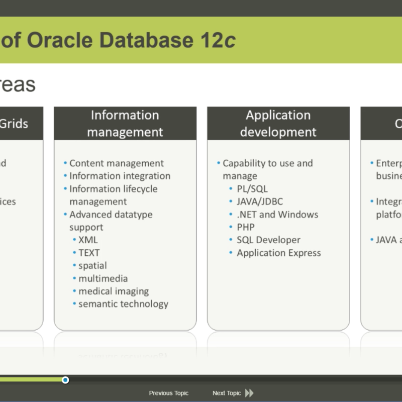 Oracle Database 12c SQL Fundamentals exam 1Z0-061 E-Learning Kurs